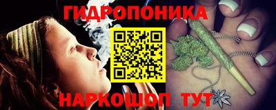 гидропоника Бийск