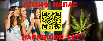 тгк Берёзовский