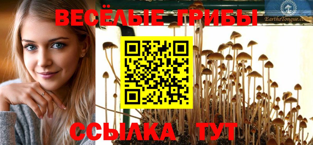 Псилоцибиновые грибы мухоморы  Вход с VPN  купить  цена  Батайск 
